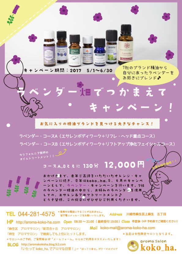 ラベンダー　キャンペーン　イラスト