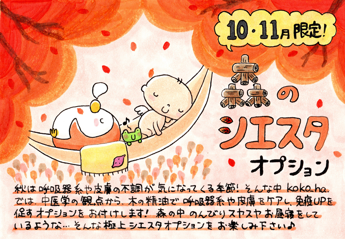森のシエスタ　オプション　お知らせ　2023年10月11月♪♪