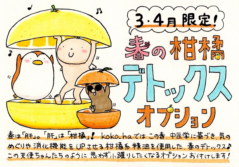 柑橘オプション　お知らせ　2023年3月4月♪♪