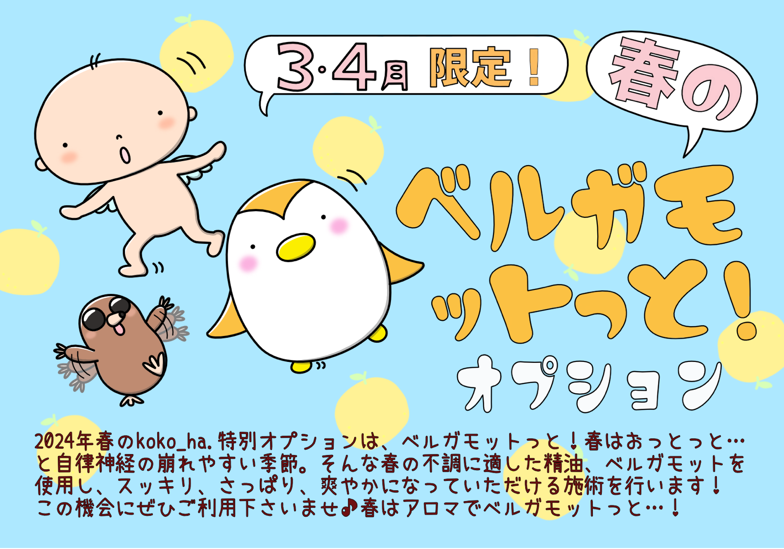 ベルガモットっと　オプション　お知らせ　2024年3,4月♪♪