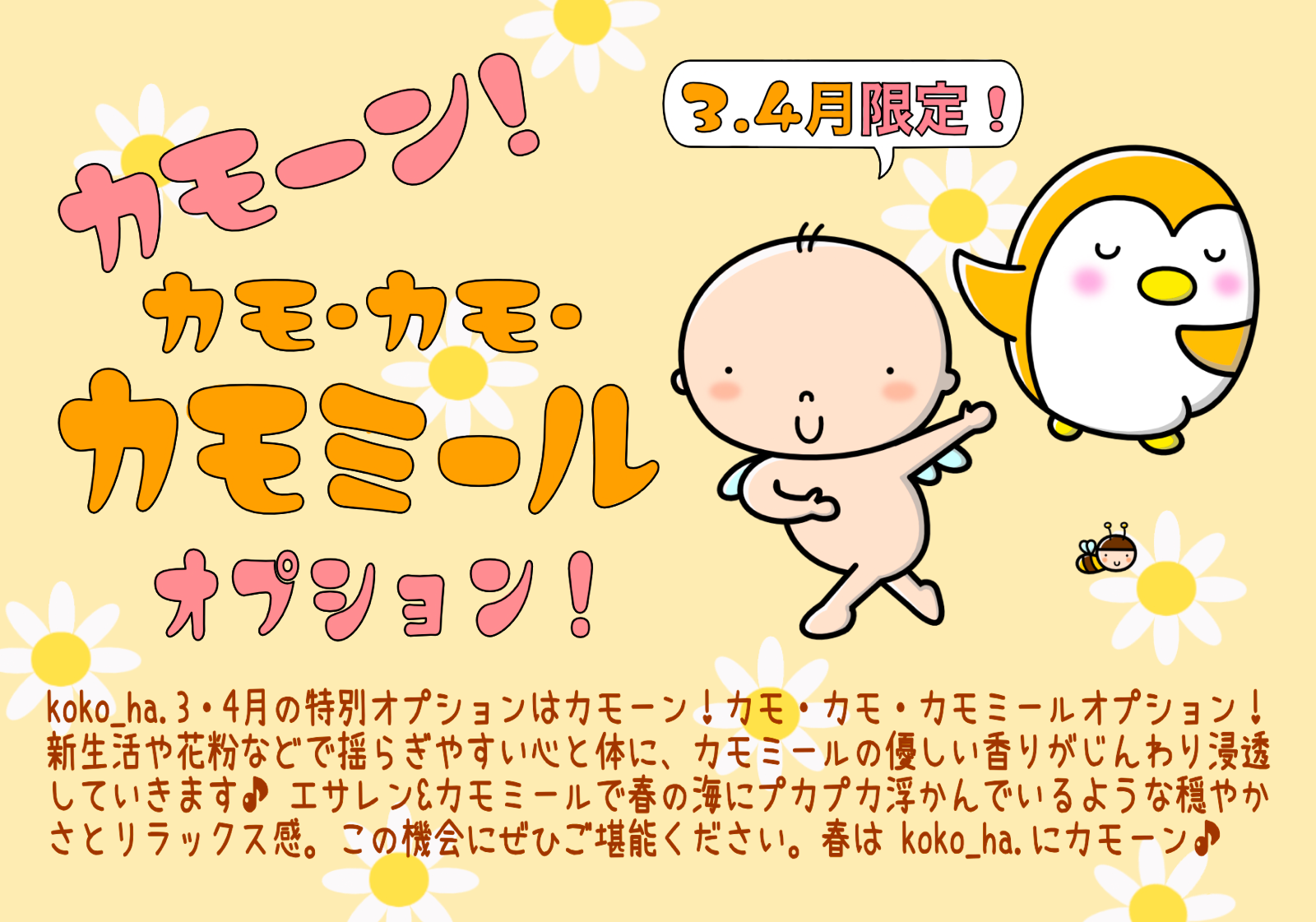 カモミール　オプション　お知らせ　2025年3月4月♪♪