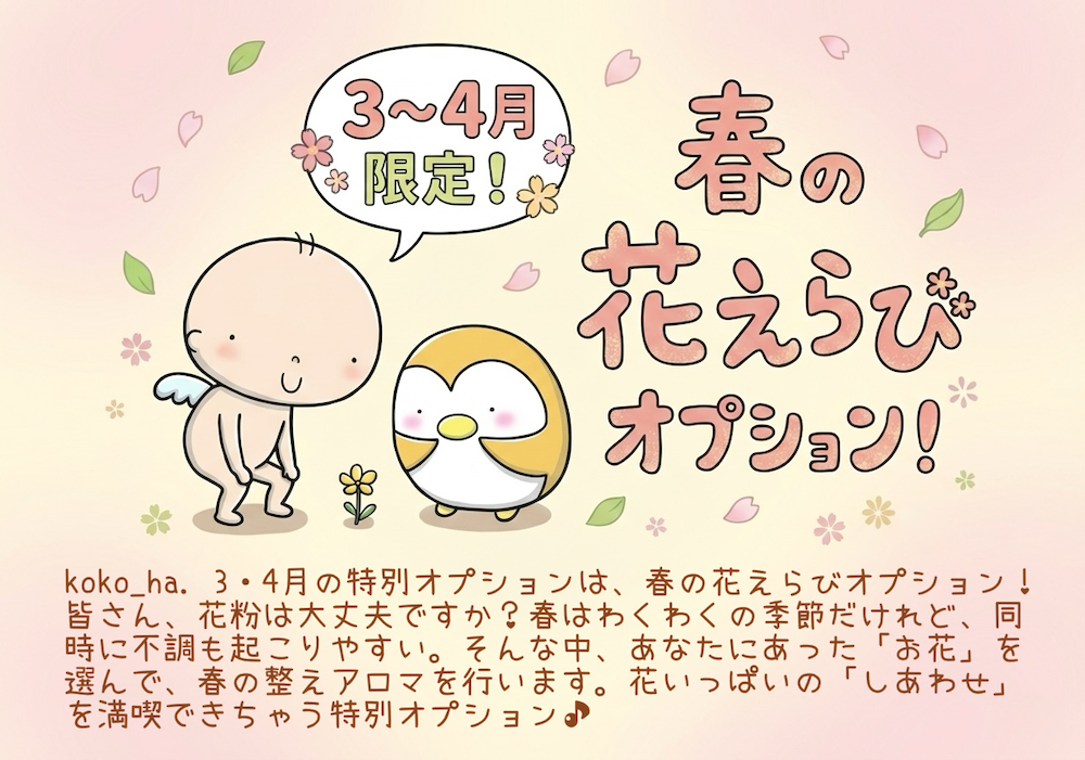 春の花えらび　オプション　お知らせ　2026年3月4月 限定 ♪♪