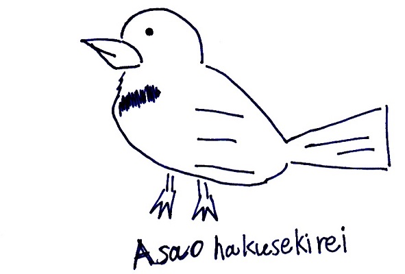 ハクセキレイ　絵　画像
