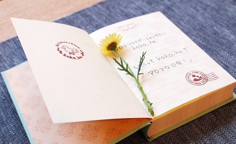 ブログ ノート 写真