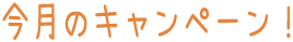 キャンペーン　メニュー　お得