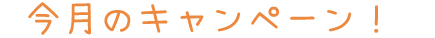 キャンペーン 今月　お知らせ